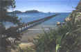 Tolaga Bay Wharf