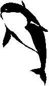 Whale2.wmf (2196 bytes)